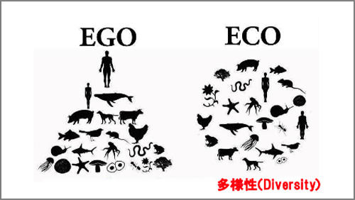 講演会参考画像