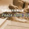 Peace Now! 2013(Hiroshima/Nagasaki/Okinawa)開催のご案内