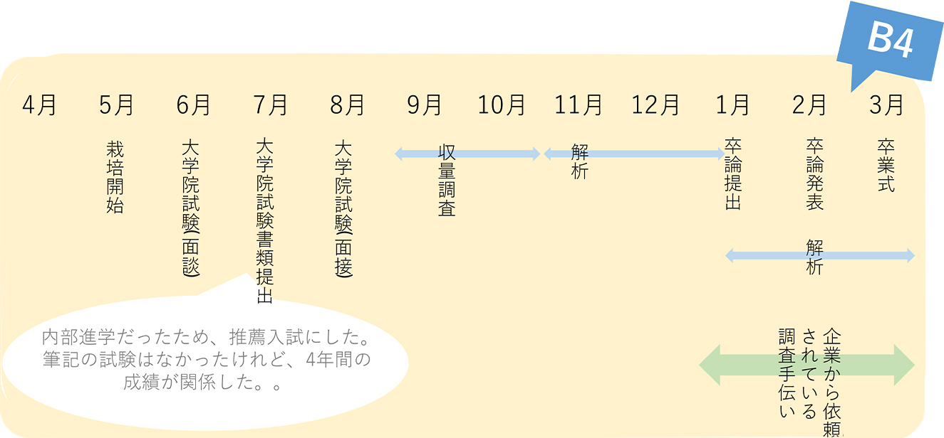 1年間の流れ2