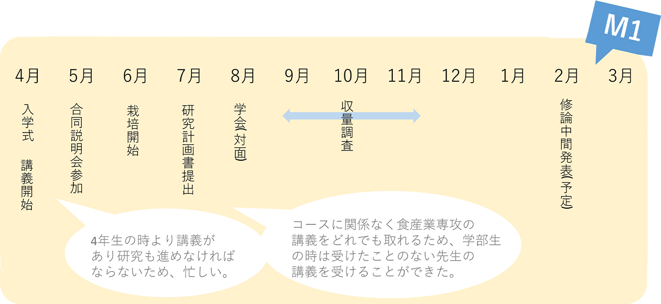 1年間の流れ3