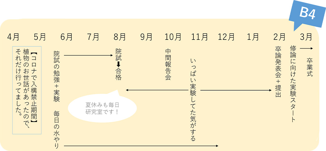 1年間の流れ1