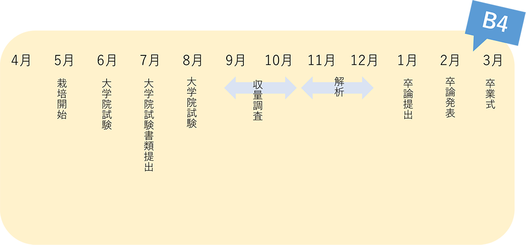 1年間の流れ1