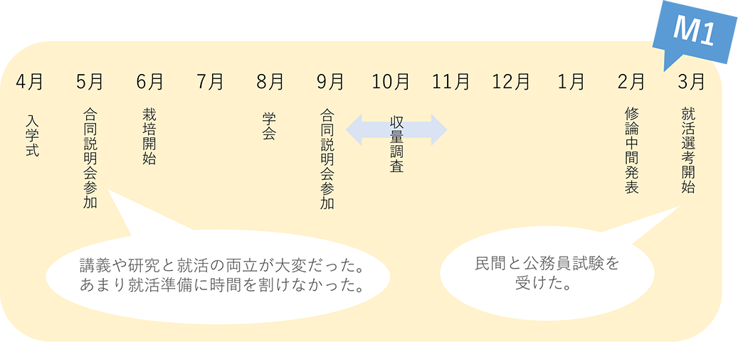 1年間の流れ2