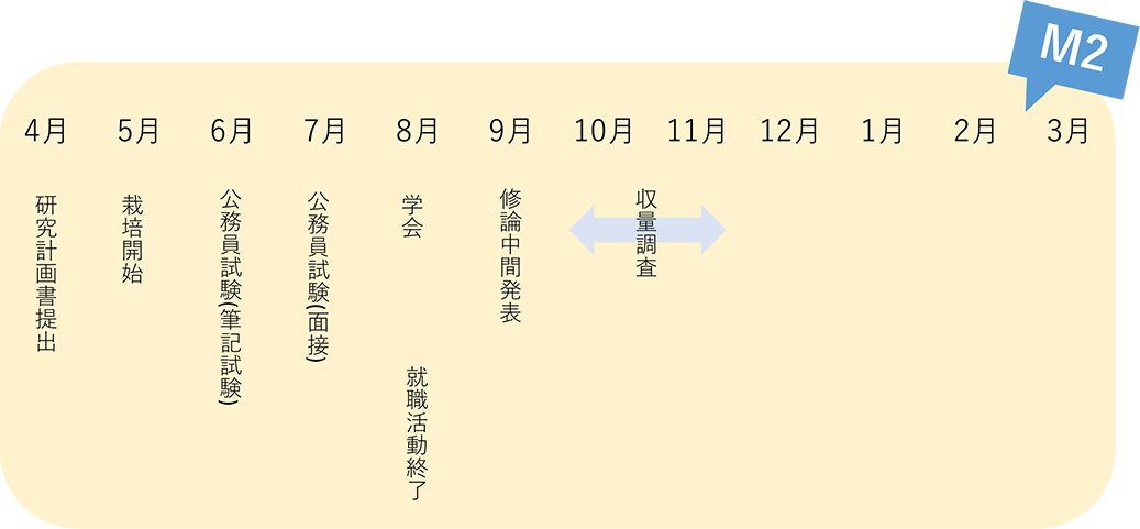 1年間の流れ3