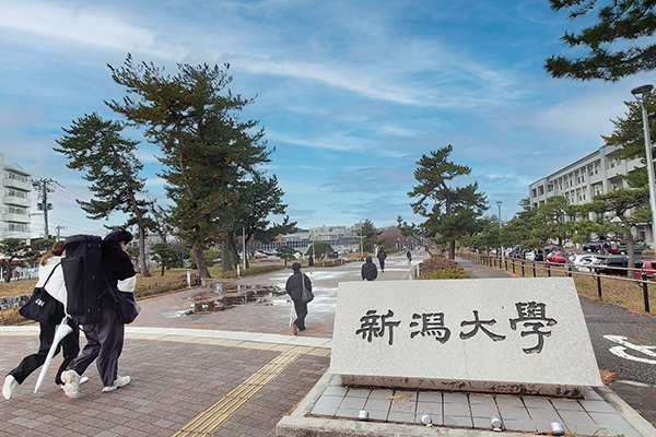 新潟大学
