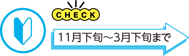 11月下旬～3月下旬まで
