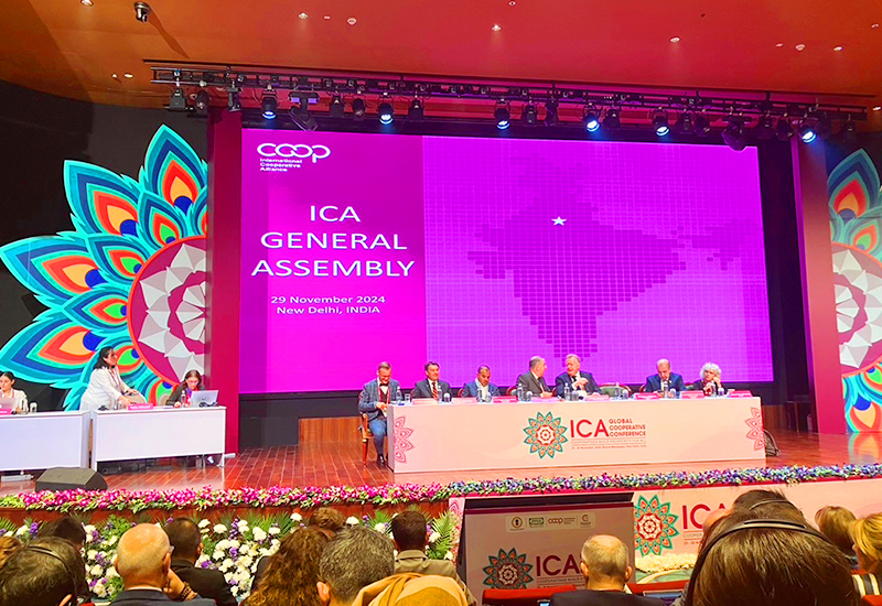 In addition to attending the sessions, we participated in the voting as delegates to the General Assembly.