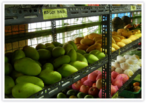 Papayas at store (University of the Philippines Co-op)
