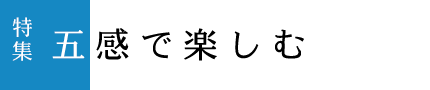 特集「冬」
