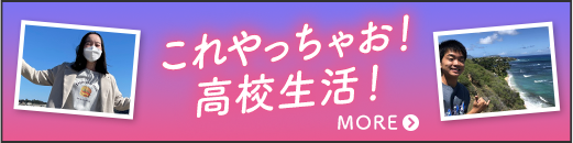 これやっちゃおう！高校生活！