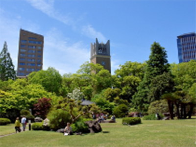 早稲田大学