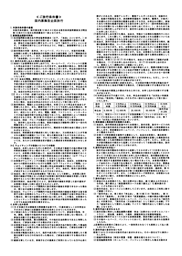 PeaceNow!2026 国内募集型条件書