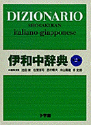 伊和中辞典 第2版