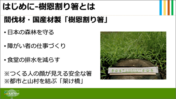樹恩割り箸について