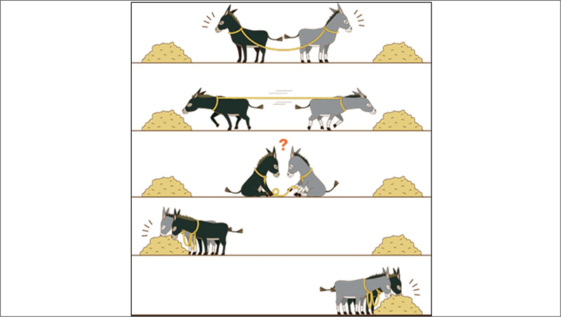 共済の基礎学習資料